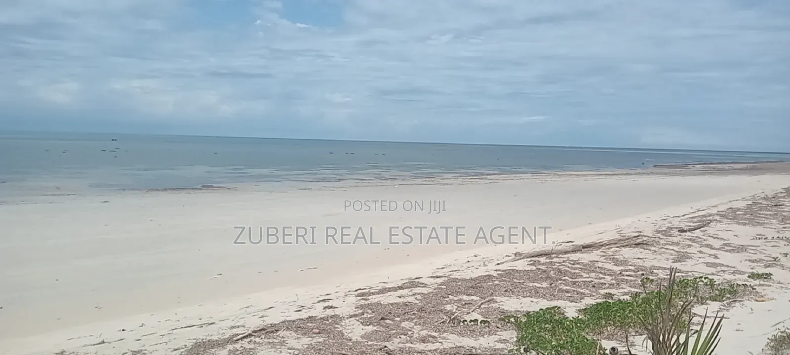 1 Acre Beach Plot on Sale Pangani