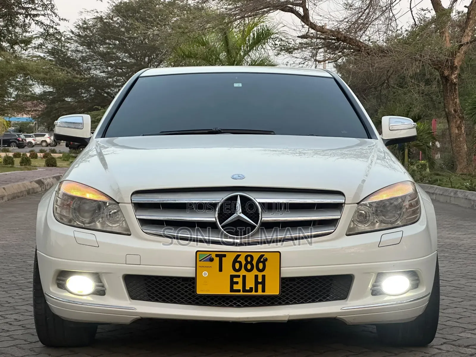 Mercedes-Benz C-Class 2010 Pearl