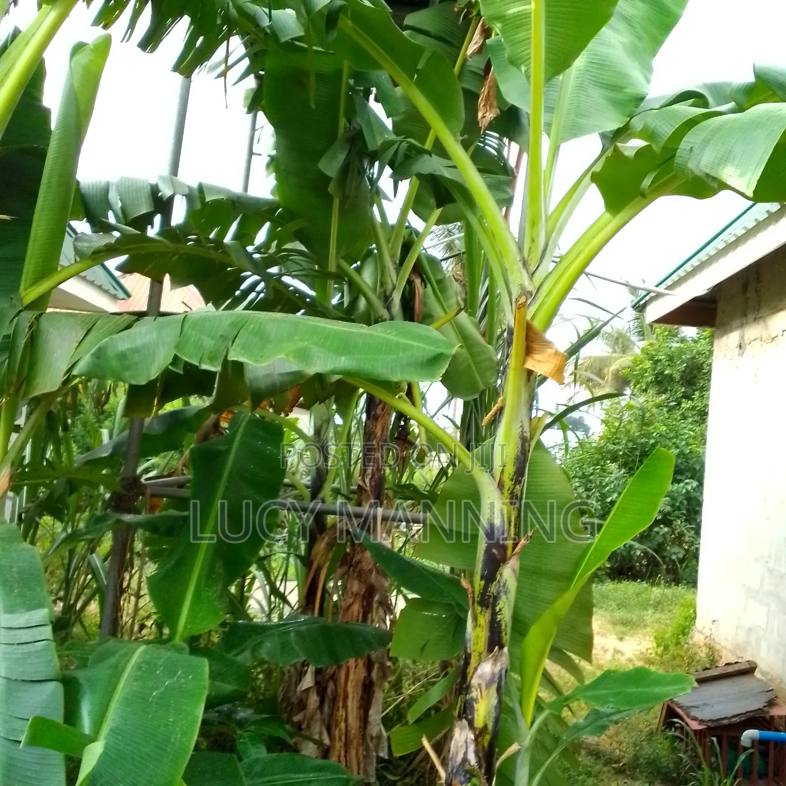 2bdrm Farm House in Vikindu for sale