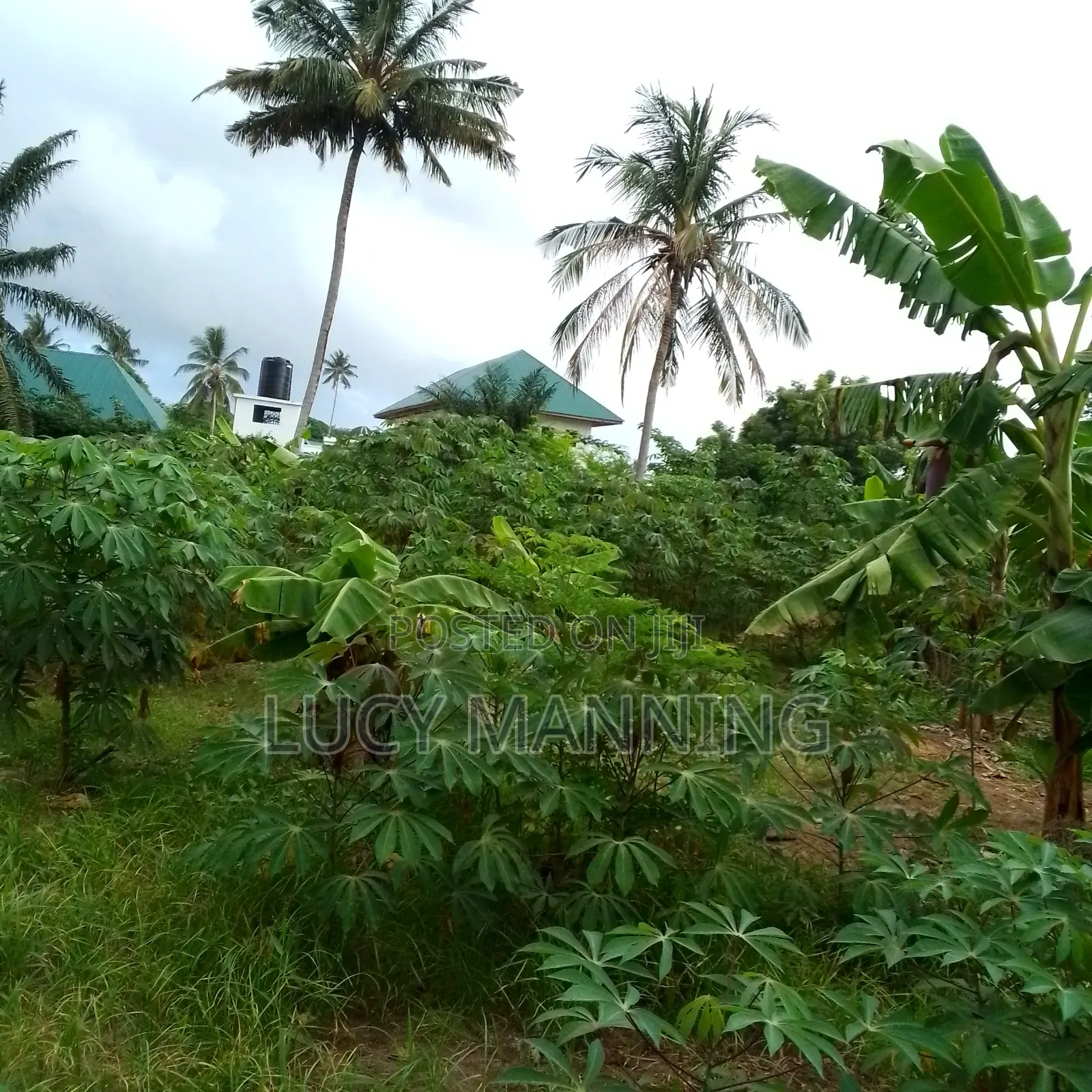 2bdrm Farm House in Vikindu for sale