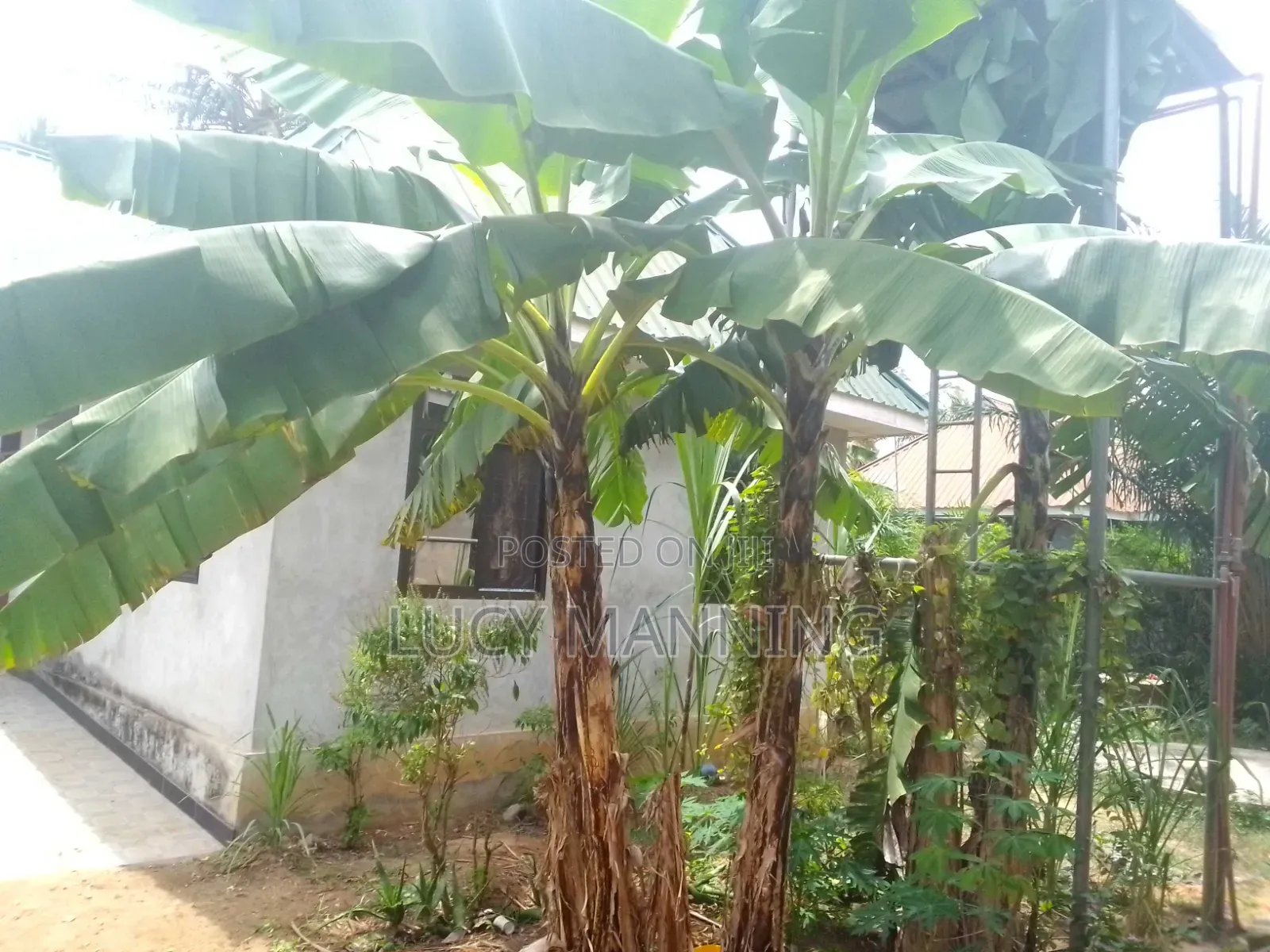 2bdrm Farm House in Vikindu for sale