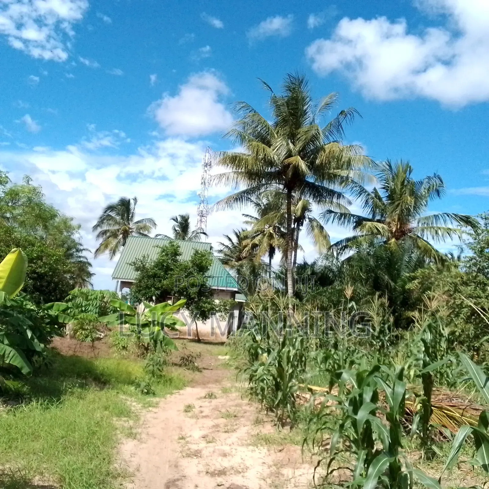 2bdrm Farm House in Vikindu for sale