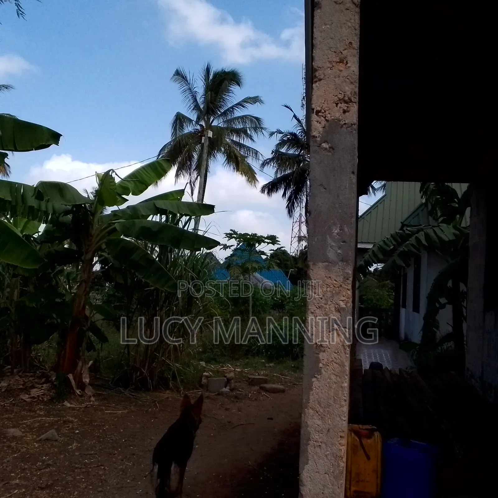 2bdrm Farm House in Vikindu for sale