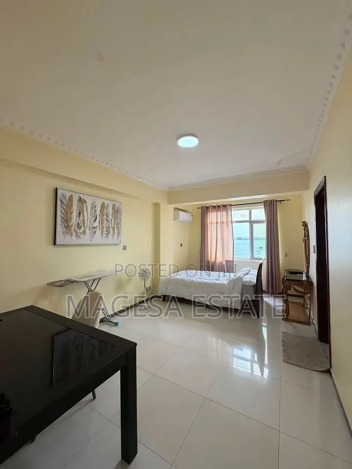 Furnished 3bdrm Apartment in Masaki for rent