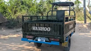 Bajaj 2025 Green
