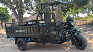 Bajaj 2025 Green
