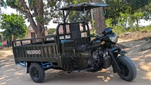 Bajaj 2025 Green