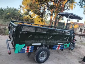Bajaj 2025 Green