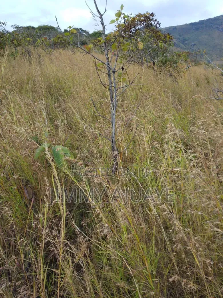 Shamba Linauzwa