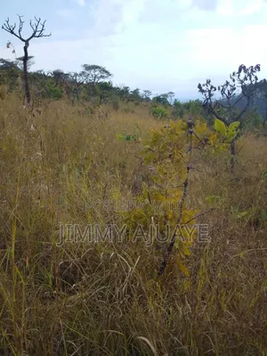 Shamba Linauzwa