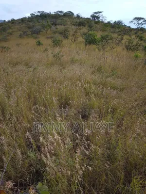 Shamba Linauzwa