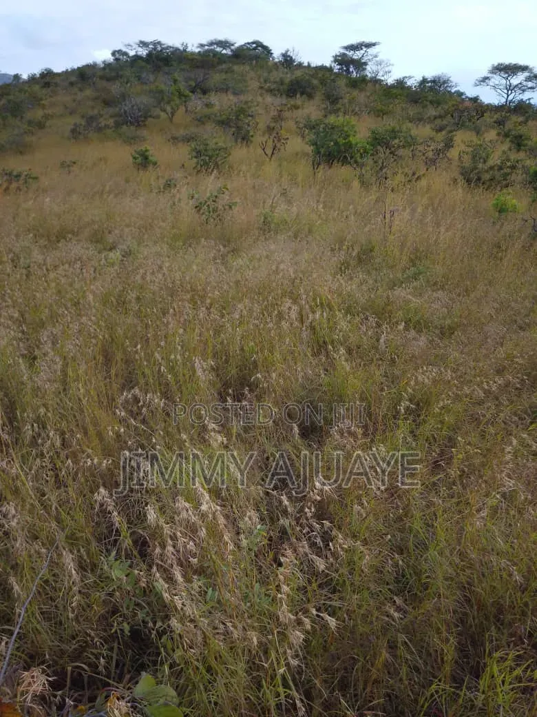 Shamba Linauzwa