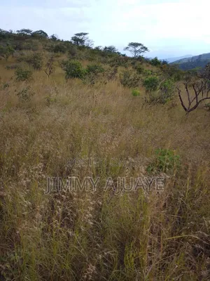 Shamba Linauzwa