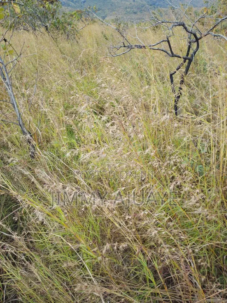 Shamba Linauzwa