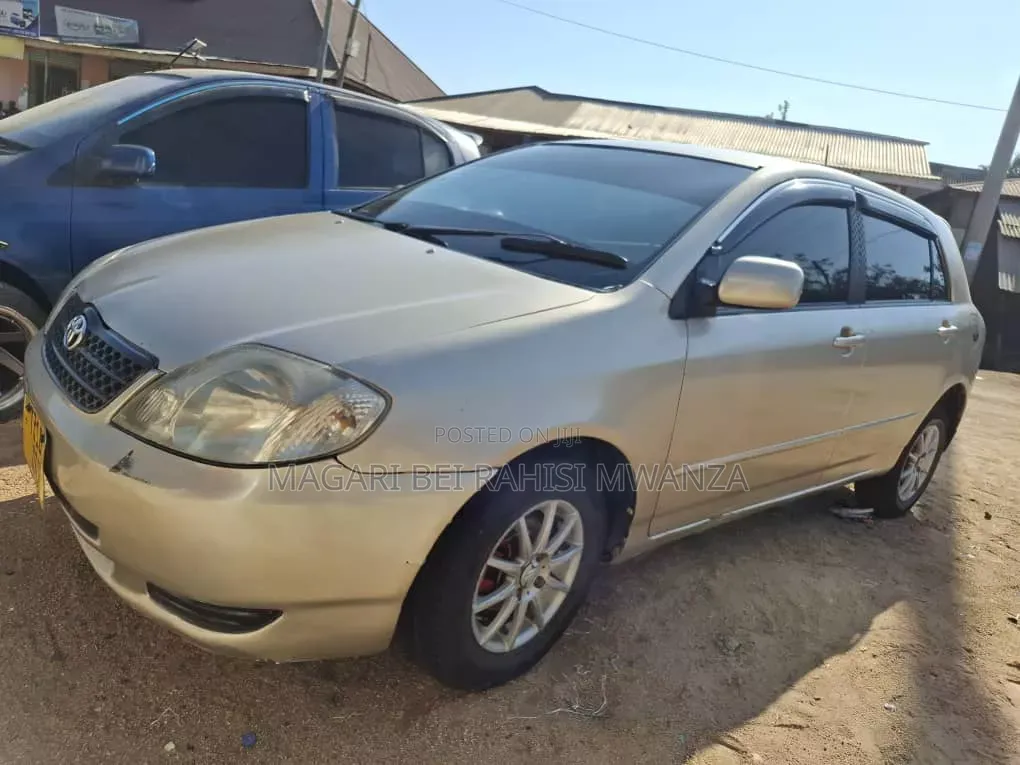 Toyota Corolla RunX 2007 Gold