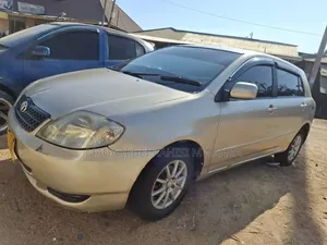 Toyota Corolla RunX 2007 Gold