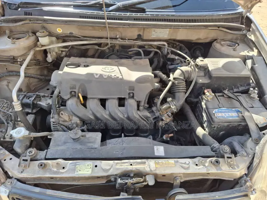 Toyota Corolla RunX 2007 Gold