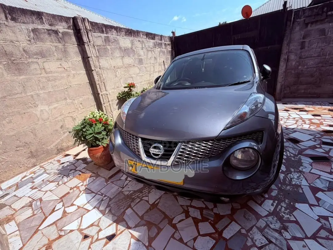 Nissan Juke SL Automatic 2011 Gray