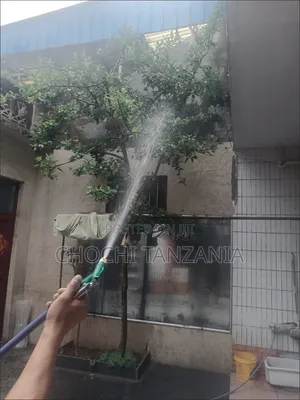 Car Wash Gin