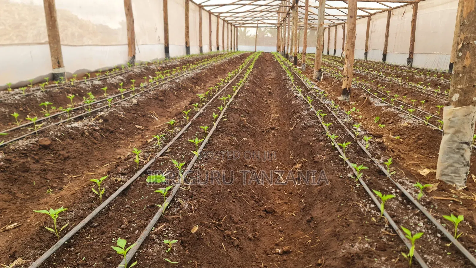Irrigation System