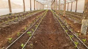 Irrigation System