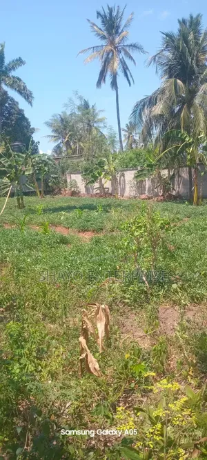 Kiwanja Kinauzwa Mabwepande.