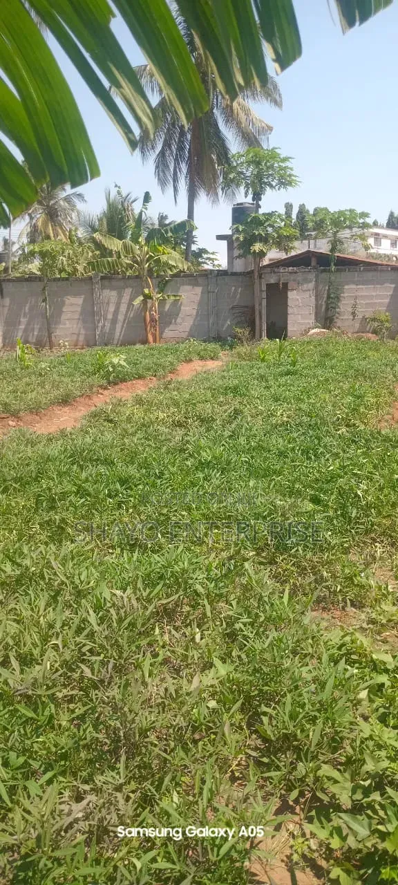 Kiwanja Kinauzwa Mabwepande.