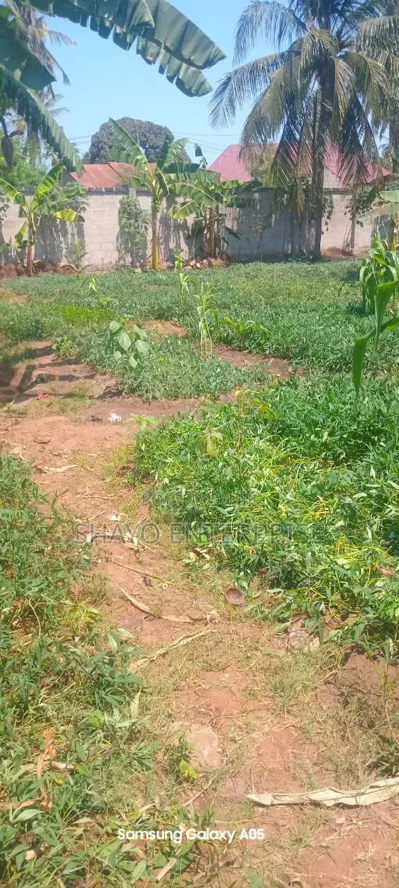 Kiwanja Kinauzwa Mabwepande.