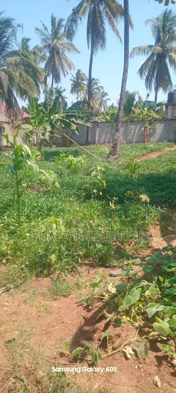 Kiwanja Kinauzwa Mabwepande.