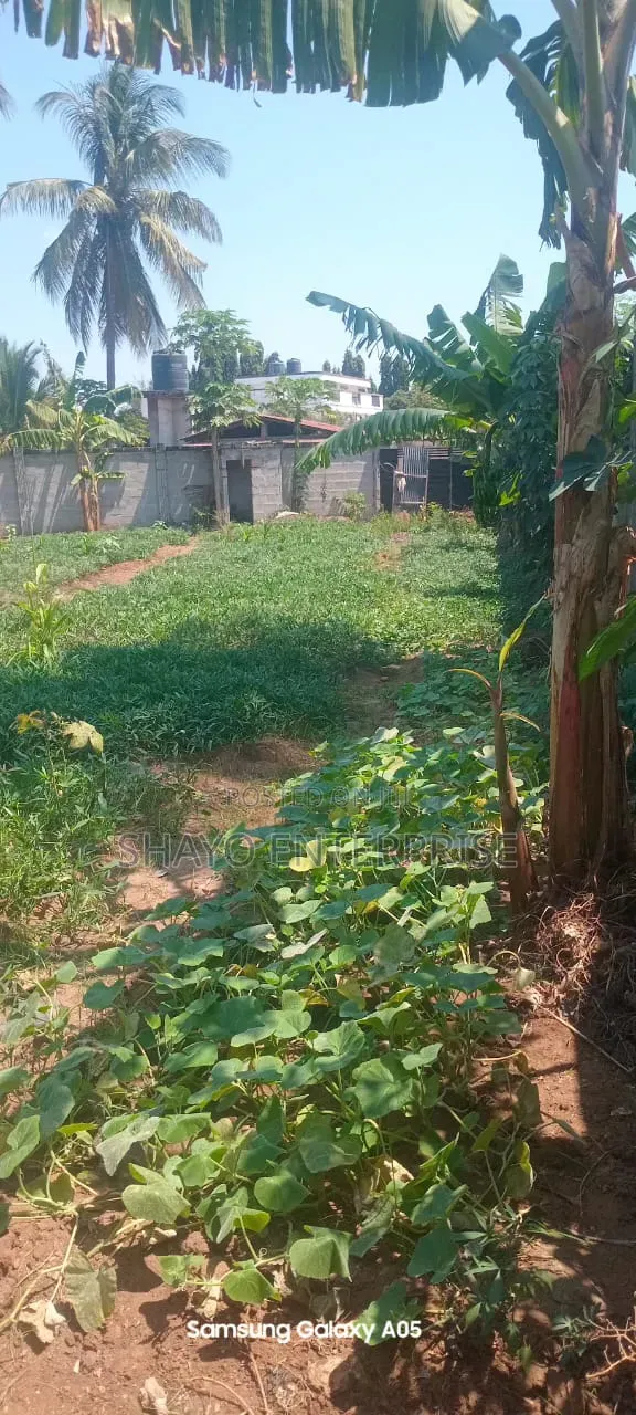 Kiwanja Kinauzwa SQM 1600