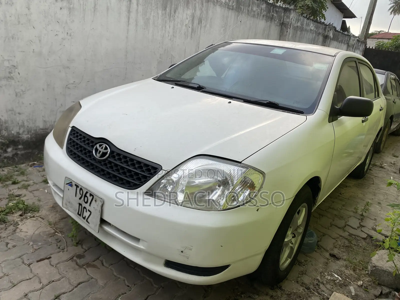Toyota Corolla 2004 White