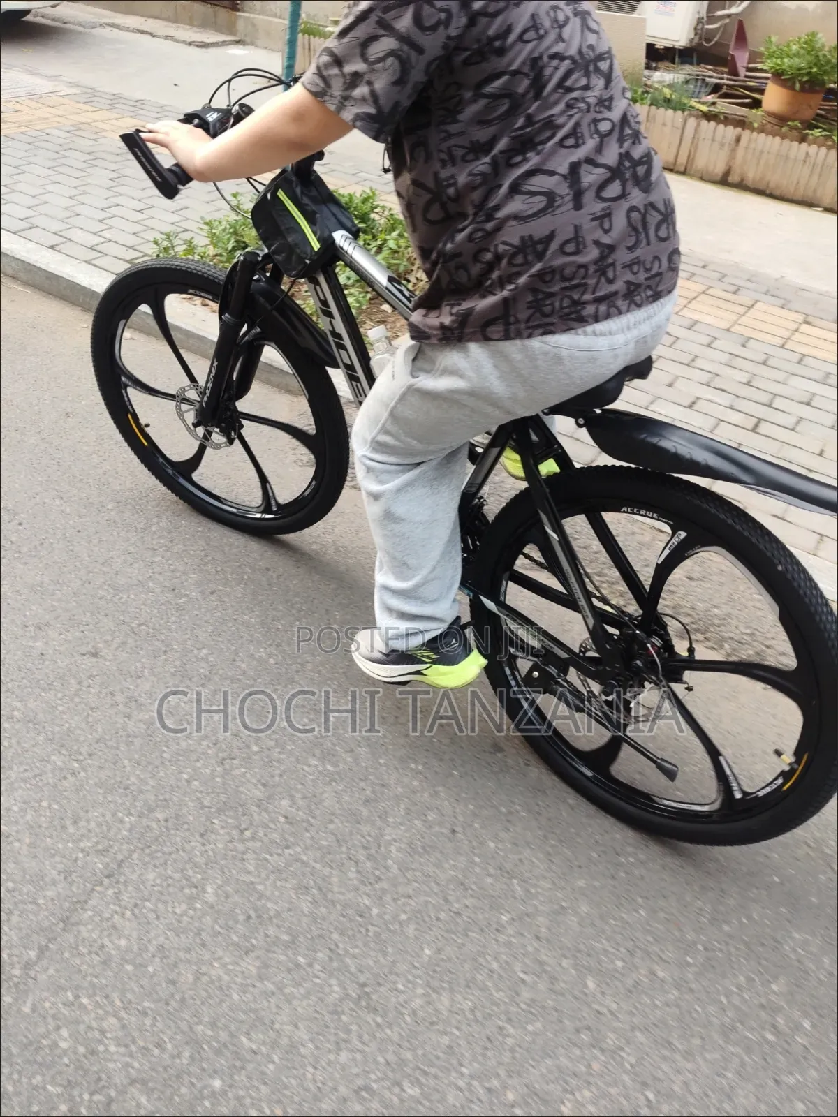 Phoenix Mountain Bike