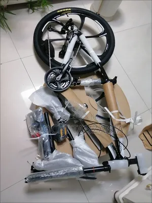 Phoenix Mountain Bike