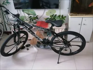 Phoenix Mountain Bike