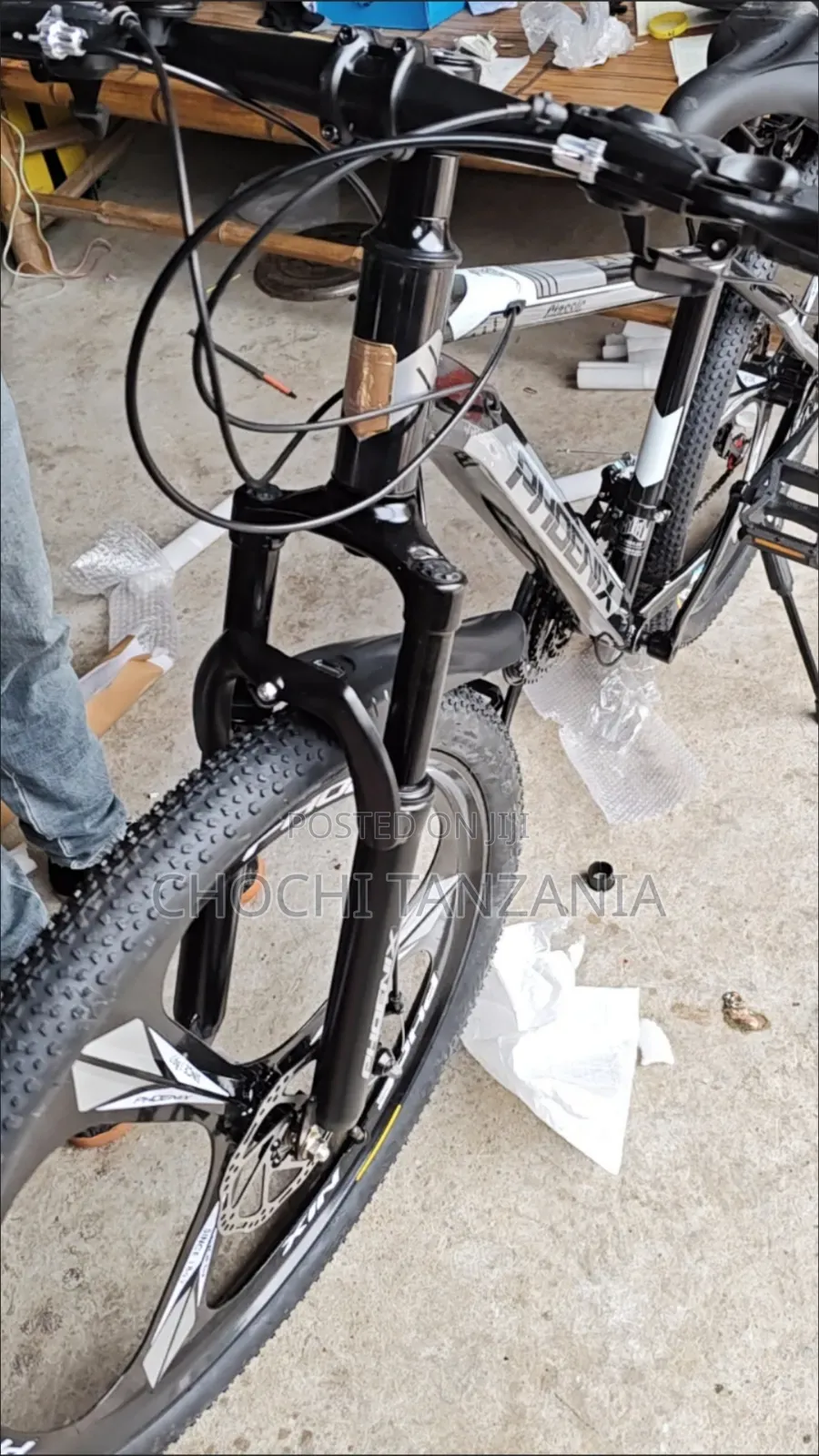 Phoenix Mountain Bike