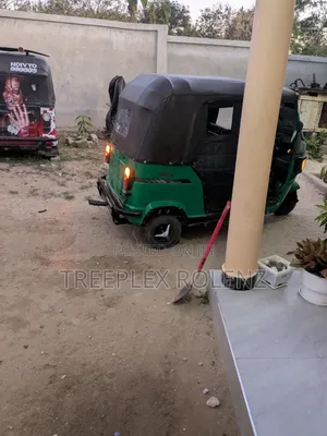 TVS King 2025 Green