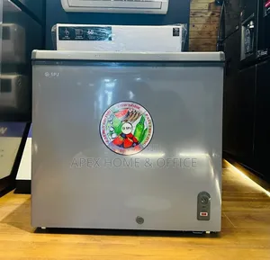 VSPJ Freezer 300l