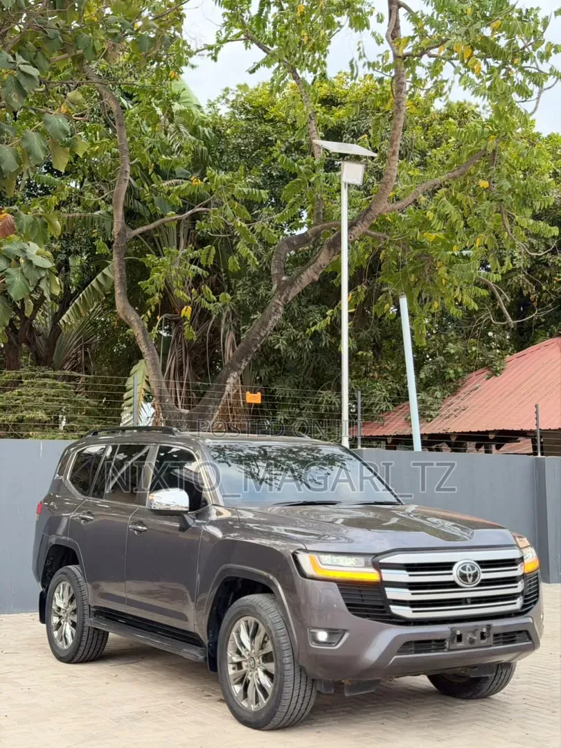 Toyota Land Cruiser 2024 Gray
