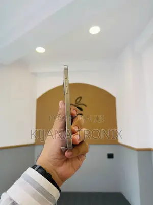 New Apple iPhone 15 Pro Max 256 GB Silver