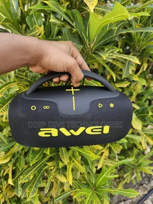AWEI KA28 50W Portable Bluetooth Speaker