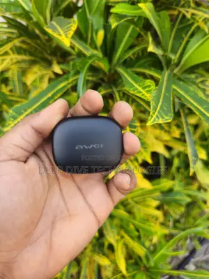 Awei T66 Enc TWS Bluetooth Earphones