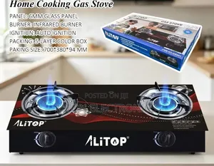 Alitop Gas Cooker Stove 2 Plates