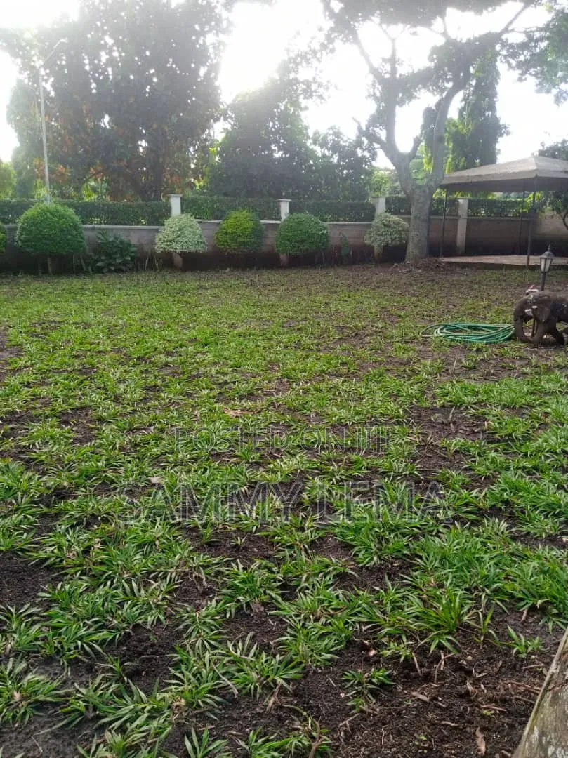 6bdrm Mansion in Sammy Saidy, Njiro for sale