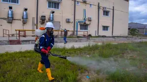 Fumigation Pest Control
