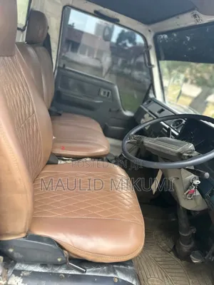 Toyota Dyana