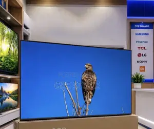 TCL 55t6d TV Qled