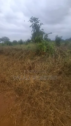 112 Hector at Morogoro Road It Look at Tarmac