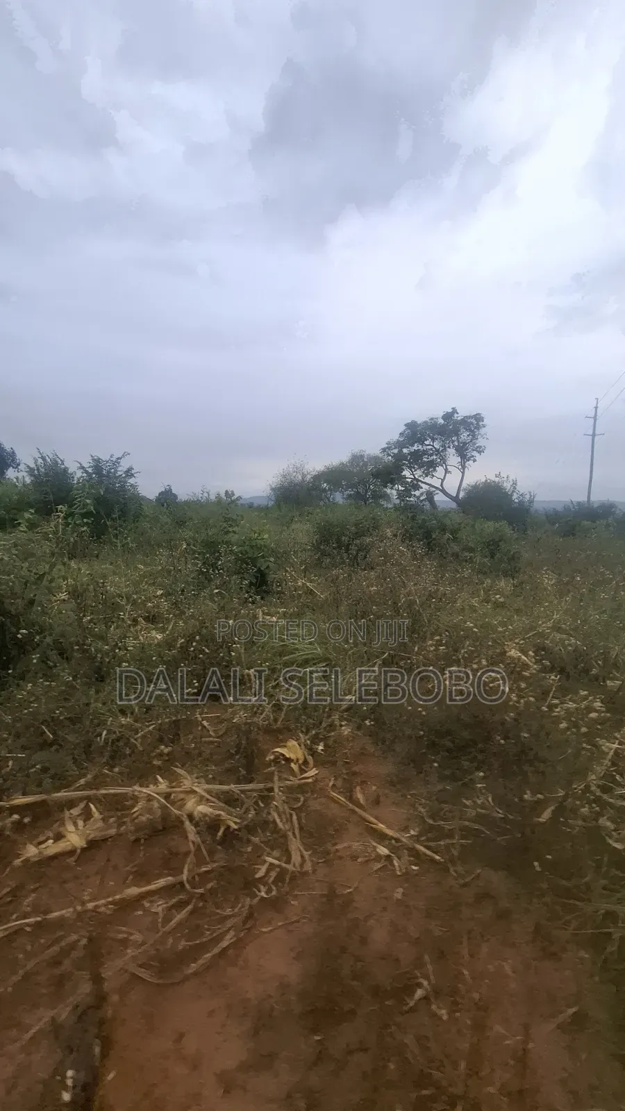 112 Hector at Morogoro Road It Look at Tarmac
