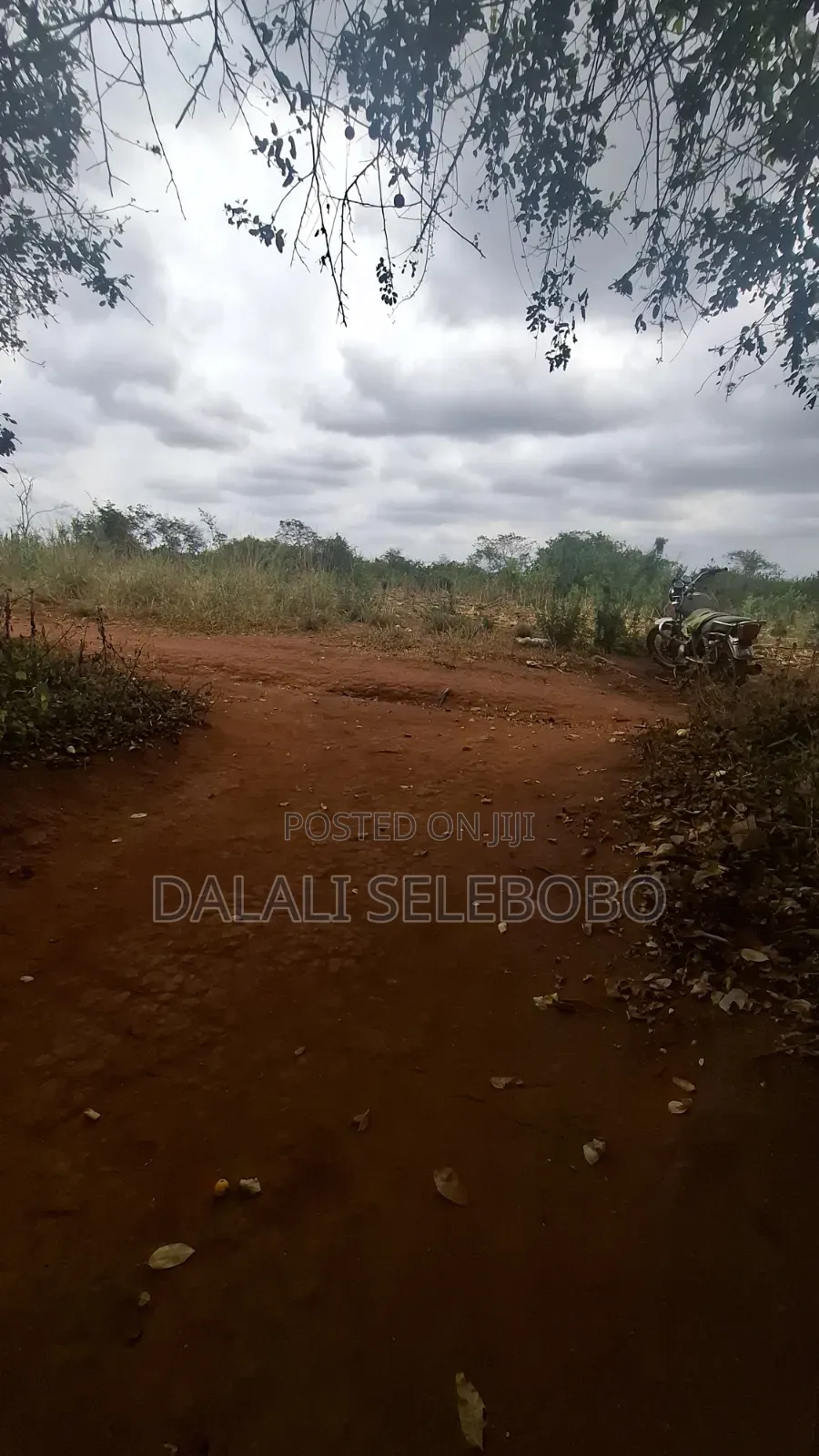 112 Hector at Morogoro Road It Look at Tarmac
