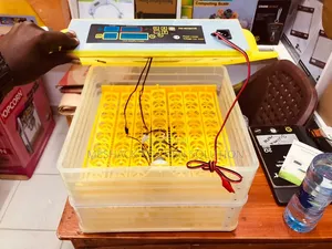 Automatic Eggs Incubator - 48 Eggs